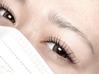 アフェット(affetto)/LEDフラットラッシュ140本