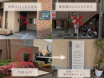 ココ 黒川店(COCO)の写真