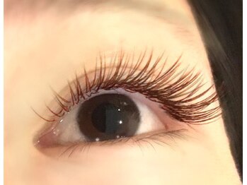 スタジオ レッジーナ/深みブラウンフラットラッシュ