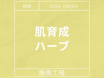 オレアグリーン 岡崎(OLEA green)/肌育成ホワイト/ブラックハーブ