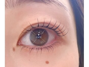 シーシー ネイル アンド アイラッシュ(CeCe Nail&eyelash)/韓国パマ