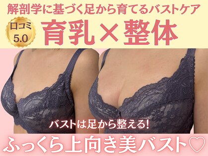 メリア(MERIA)の写真