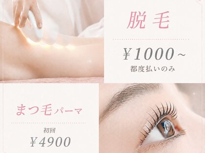 シュシュ(Chouchou)の写真