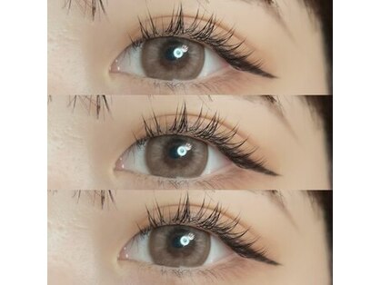 フランク(f)の写真