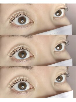 フォーカス 流山おおたかの森店(FOCUS)/ラッシュリフト