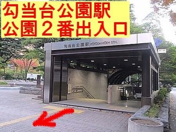 定禅寺セディナ整体/定禅寺通りを西公園方向へ