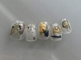 オータムニュアンス