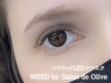 ウィード 橿原店(WEED by サロンドオリーブ)/ハリウッドLED 6D &nbsp;240本