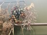 【セットでお得♪】ラッシュリフト＋耳ツボジュエリー標準コース8粒まで
