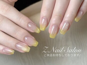 ゼットネイル(Z.Nail)/マグネットカラグラ
