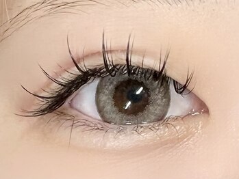 パキラ(Pachira)/束感まつ毛★タレ目風デザイン