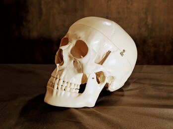 ミームズボディケア/頭蓋骨の調整