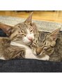 ネイルズミンティア エサカ(nails Mintia esaka) 保護猫ちゃん☆八尾の山で保護されました。多頭飼いおすすめ♪♪