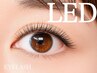 【LED200本迄】高持続フラットラッシュ¥12,640★カラー・束仕上げ・オフ無料