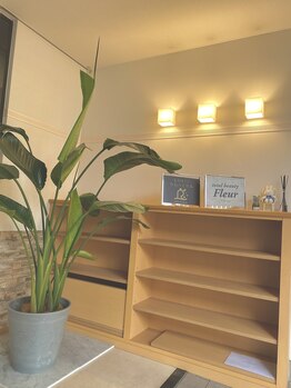 フルール(Fleur)/玄関スペース