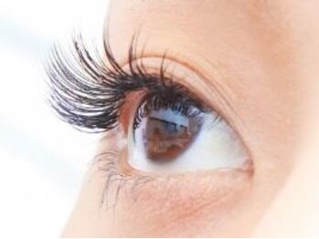 エッジ アイラッシュ(edge eyelash)の写真/話題のまつ毛パーマ【パリジェンヌラッシュリフト★】自まつ毛に優しく、根元から立ち上げ♪キープ力も◎