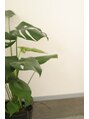 サロン ジュウ(salon Jyuu.)&nbsp;Jyuu.のモンステラもメキメキ成長中です◎