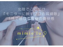 ミミエル(mimie'lu)/モニターを見ながらの耳掃除
