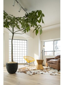 ホール 札幌円山(WHOLE)/心に寄り添う時間