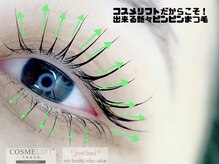 ジュエルボンド(Jewel Bond)/まつげの層と毛流れに着目