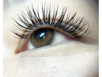 ティーボーテ みよし店(Tee.beaut‘e)/Wフラット120束 C11~13