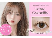 ホワイトカメリア(White Camellia)