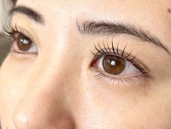 ジェルベーラ(Gerbera)/ラッシュリフト　