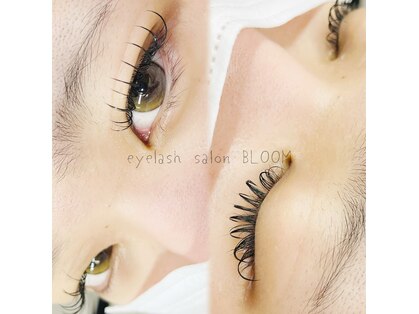 ブルーム(Bloom)の写真