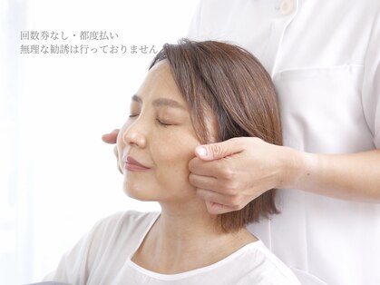 キッカ(kikka)の写真