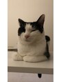 ベルファ(Bellfa) 人間のような猫。ウユさんを飼ってます♪