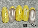 定額デザイン M