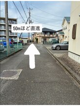 リノ(LINO)/50m程直進