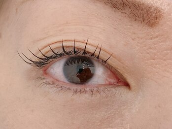 春日井まつげ/3)フラットラッシュ120本