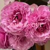 サロンドウイ(salon de OUI)のお店ロゴ
