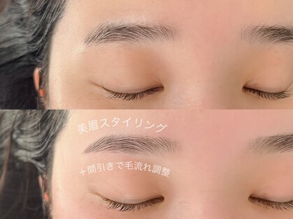 コア(koa)の写真