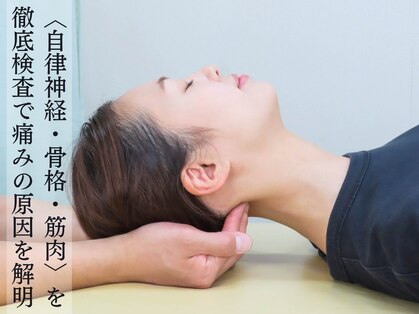 コアラボの写真