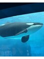 カレン 自由が丘(KALEN) 癒し空間は、水族館