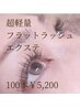 《超軽量》フラットラッシュまつげエクステ100本¥5,200