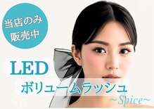 スパイス なんば店(Spice)