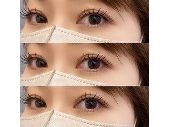 シュエット(Chouette)/フラットラッシュ120本