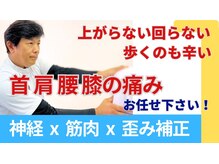 整体眞田流/腰痛 肩こり首こり改善率98%整体