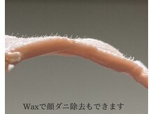 フルブルーム(Full Bloom)/ワックス/ワックス脱毛/徳島