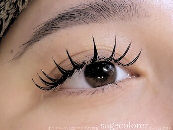 サージュクロレ 松戸店(sage)の写真/【派手好きさん必見】6Dvol.ラッシュ&16ミリまで選べる幅広なワイドフラットでなりたい目元を叶えられる♪