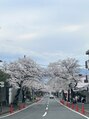 そね健康整骨院 天気のいい日は近所を散歩して季節を感じてます!