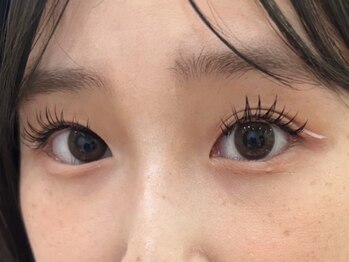 シピー(chipie by anon)/フラットマットラッシュ