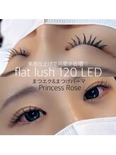 プリンセスローズ(Princess Rose)/フラットラッシュ×LED