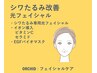 《ほうれい線・しわ・たるみ》肌質改善+イオン導入+バイオマスク+マッサージ