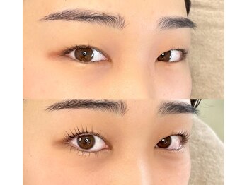 パインツリー(pine tree)/パッチリ！