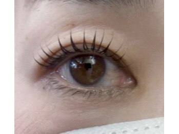 オッジヘアー/まつ毛パーマ　4月正田