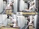 ビーナス 恵比寿店(venus)の写真